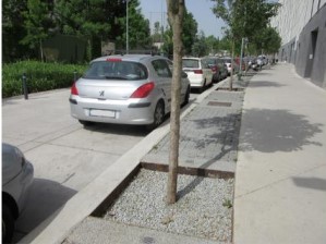 Alcorque inf 2